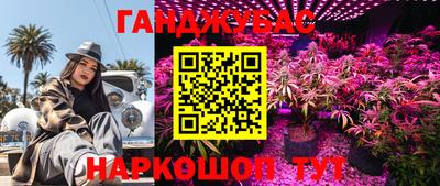 спиды Коммунар