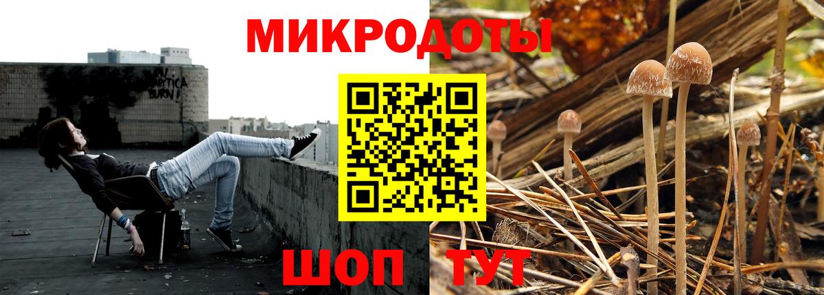 Галлюциногенные грибы прущие грибы  Вход с VPN  Псилоцибиновые грибы Psilocybe  цена   Кисловодск 