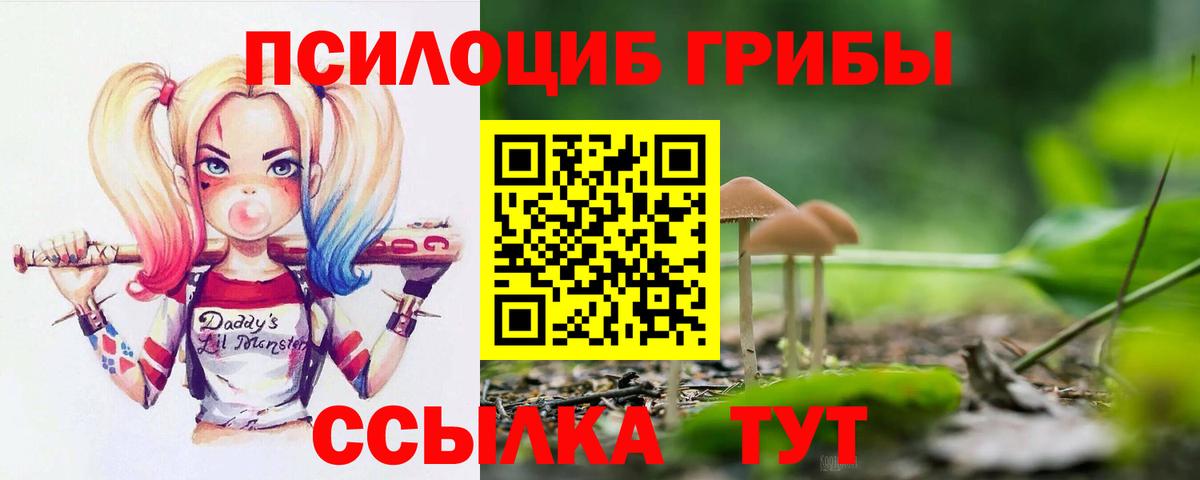 Псилоцибиновые грибы прущие грибы Кисловодск